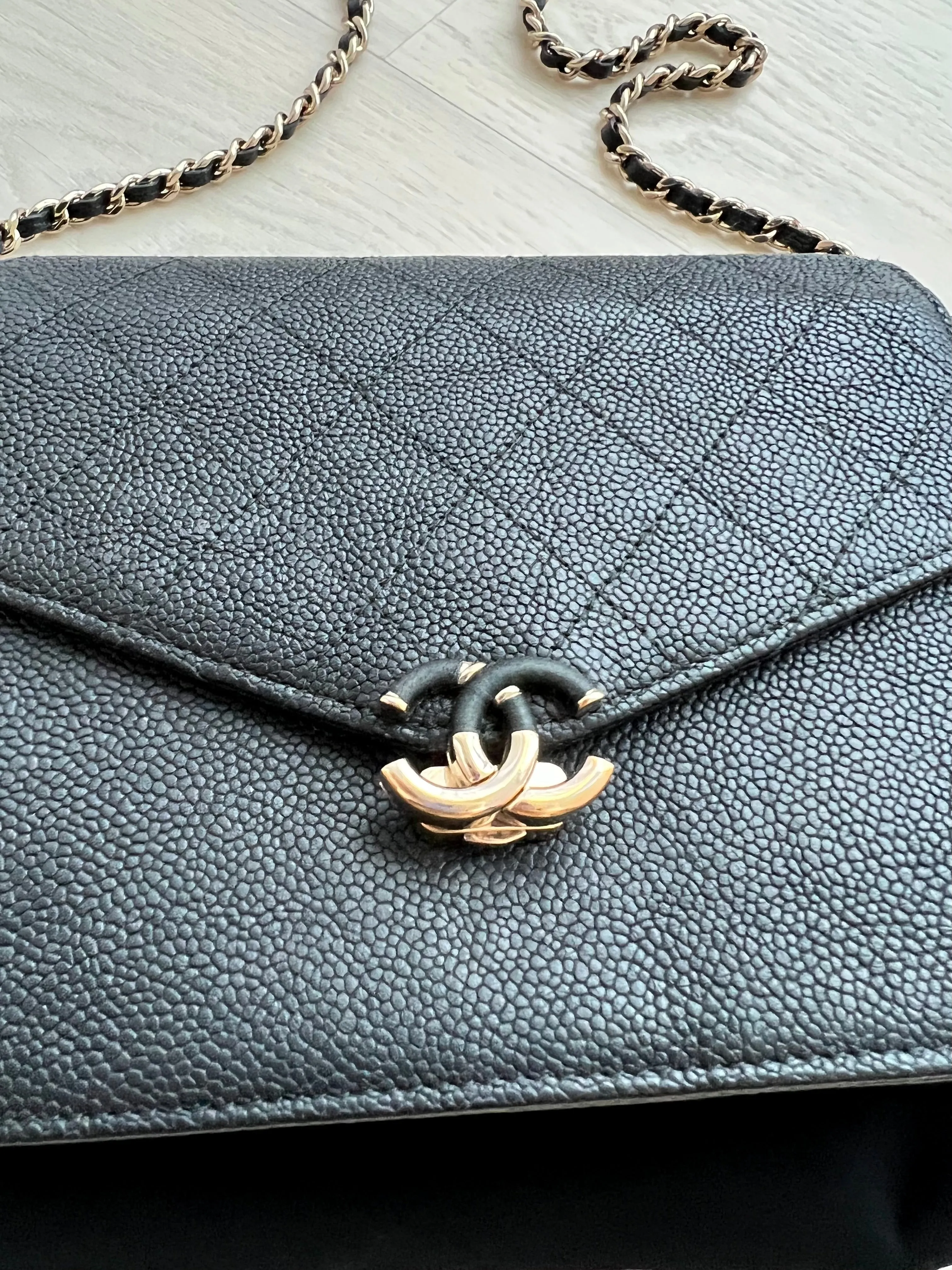 Chanel Seasonal Wallet On Chain Bag