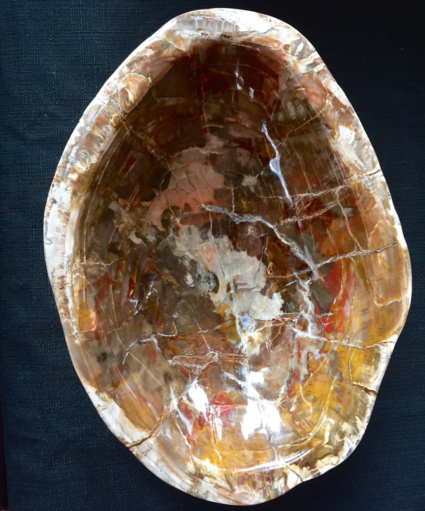 Multi Colored Petrified Wood Bowl