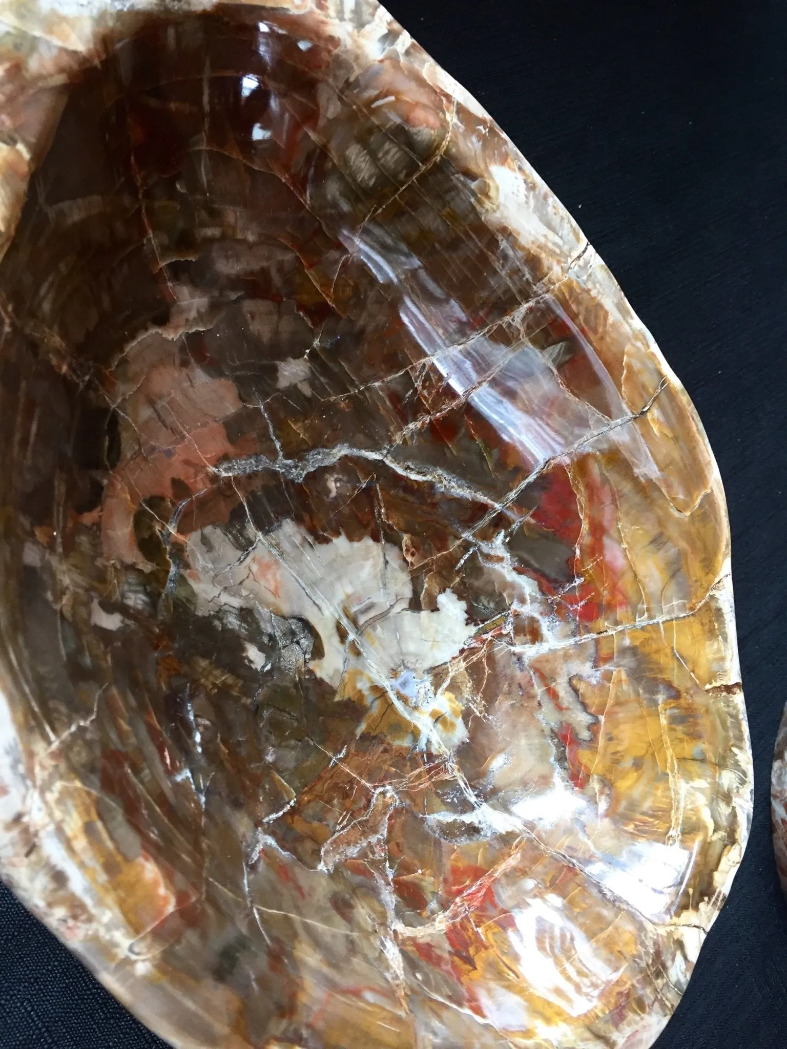 Multi Colored Petrified Wood Bowl